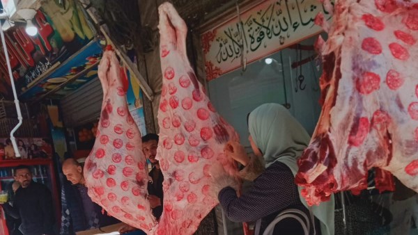 بيطرى البحيرة :ضبط 2730 كجم لحوم ودواجن وأسماك غير صالحة للاستهلاك