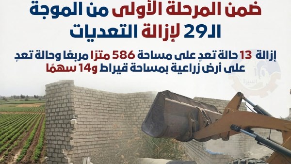 محافظ البحيرة