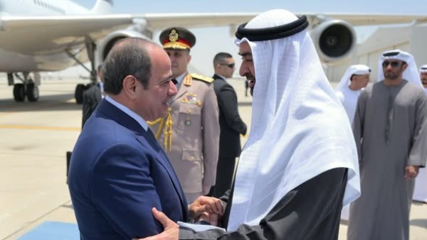 نائب : العلاقات المصرية الخليجية أقوى من حملات التشويه والأكاذيب