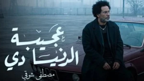 مصطفى شوقى