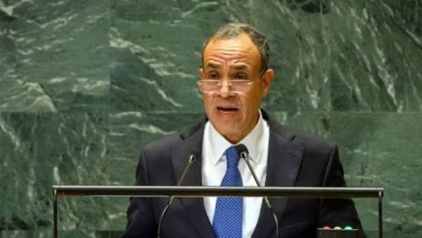 وزير الخارجية المصري بدر عبدالعاطي
