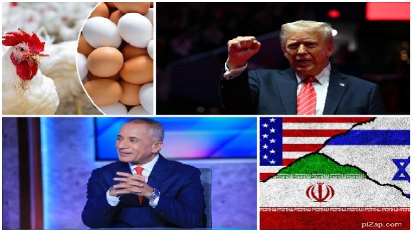 اخبار التوك شو