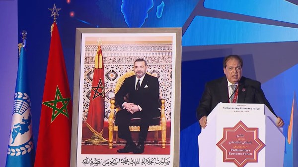 النائب محمد أبو العينين 