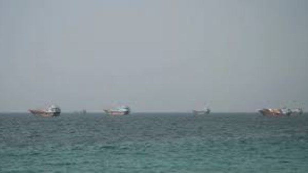 أرشيفية 
