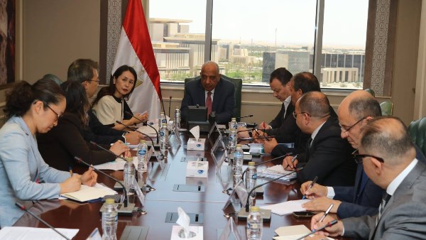 وزير الكهرباء