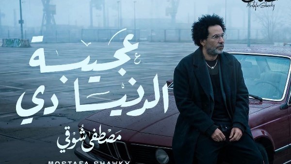 مصطفى شوقي 