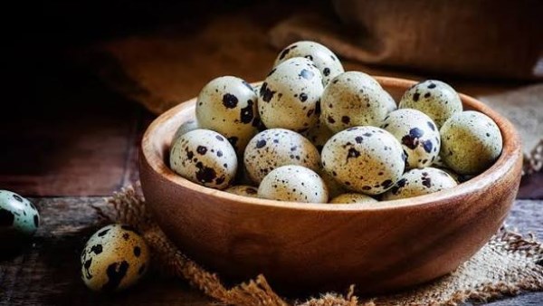 فوائد بيض السمان