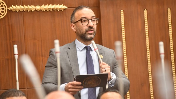 النائب أحمد الحمامصي