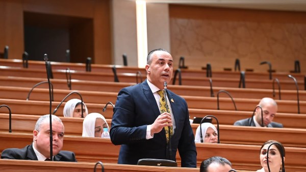 النائب محمد بلتاجي