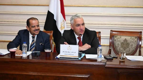 النائب سيف زاهر