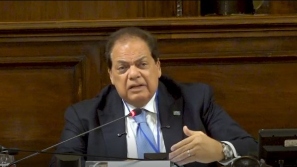 النائب محمد أبو العينين 