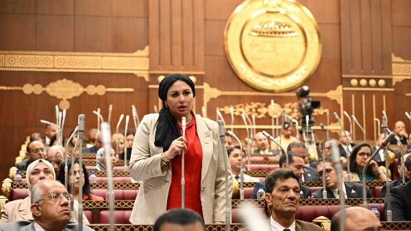 نائبة بالشيوخ: الاستثمار في الإنسان والرقابة على الأسعار أسا
