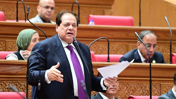 النائب محمد أبو العينين