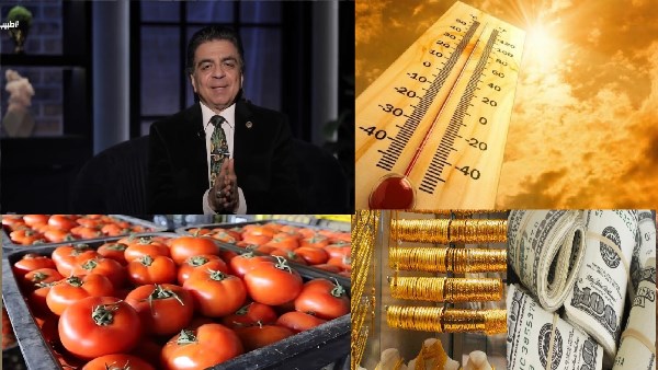 صورة الملف