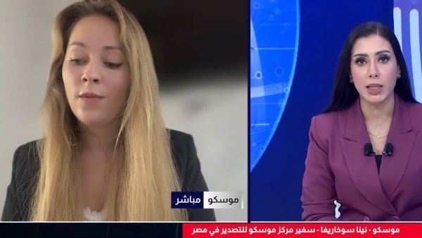 ارشفية 