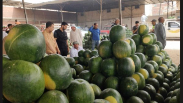 من "البطيخ الفارغ" إلى تراجع الأسعار.. ماذا يحدث في الأسواق؟| تفاصيل