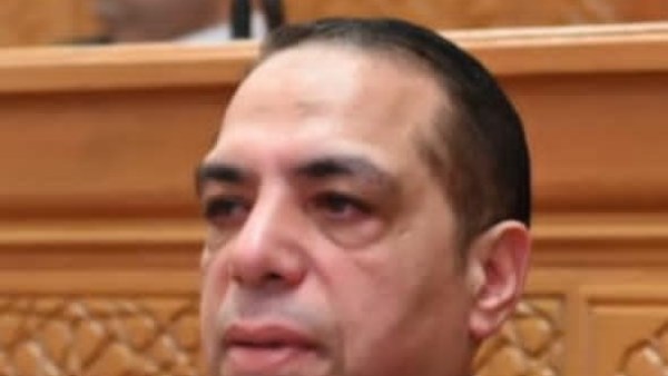 برلماني: جولة رئيس الوزراء بالإسكندرية تعكس قوة الدولة في دع
