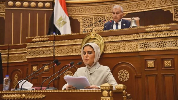  الدكتورة سحر نصر، وكيل لجنة الشئون المالية والاقتصادية والاستثمار بمجلس الشيوخ