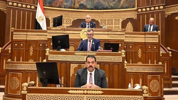رئيس برلمانية حماة الوطن بالشيوخ يعلن موافقته على خطة التنمي