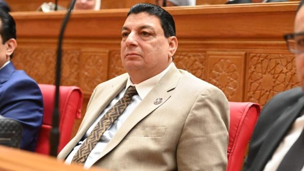 نائب: تأكيد الرئيس السيسي دعم وحدة السودان يجسد ال
