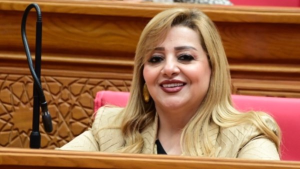  النائبة هبة غالى، عضو لجنة العلاقات الخارجية بمجلس النواب