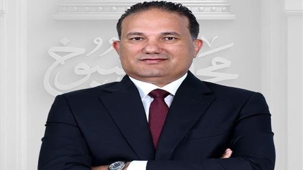 النائب تامر عبد الحميد، عضو مجلس الشيوخ