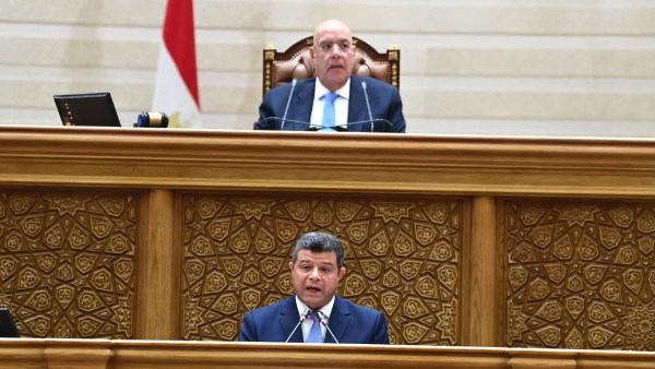  الدكتور محمد سليمان، رئيس لجنة الخطة والموازنة بمجلس النواب