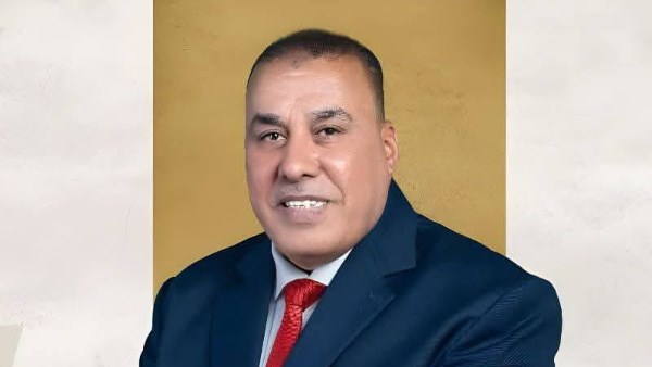 محمد أبو النصر، عضو مجلس الشيوخ 