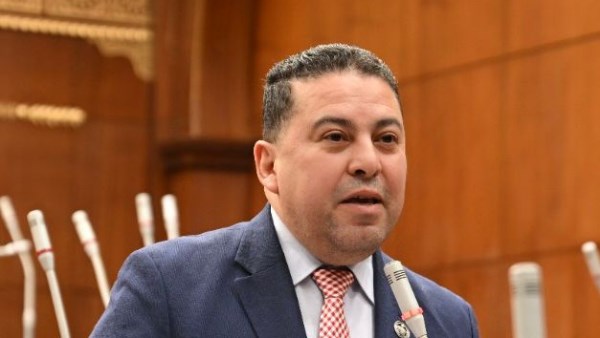 عضو بالشيوخ: خطة التنمية الاقتصادية والاجتماعية طم