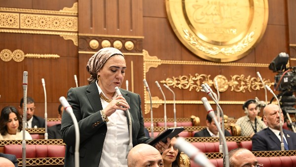 داليا الأتربي، عضو مجلس الشيوخ 