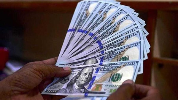 : البنوك المركزية تتجه لتقليص حيازاتها من الدولار 