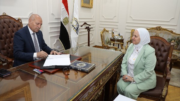 محافظ القاهرة 