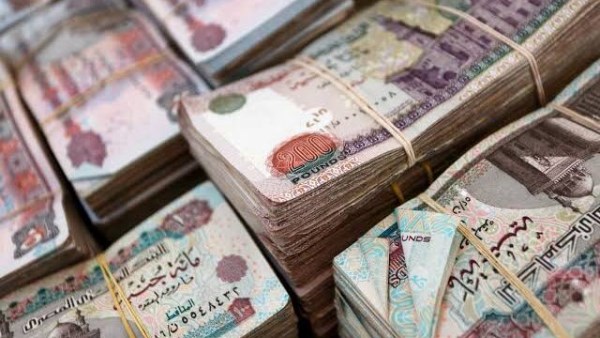 الرقابة المالية : 4.5 تريليون جنيه قيمة إشهارات سجل الضمانات