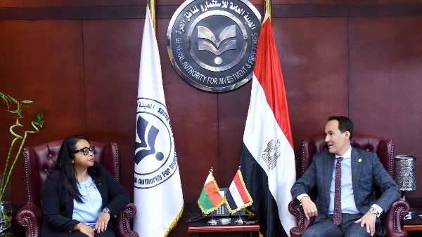 الدكتور محمد عوض رئيس هيئة الاستثمار
