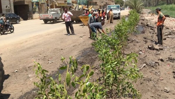 ازرع شجرة