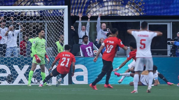 مصطفي شوبير