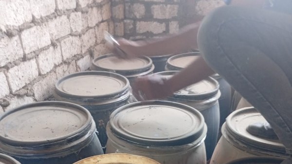 حملات مكثفة في المنوفية 