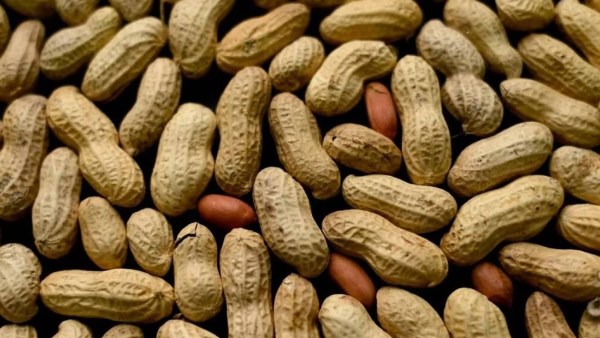 ضبط مادة الترترازين