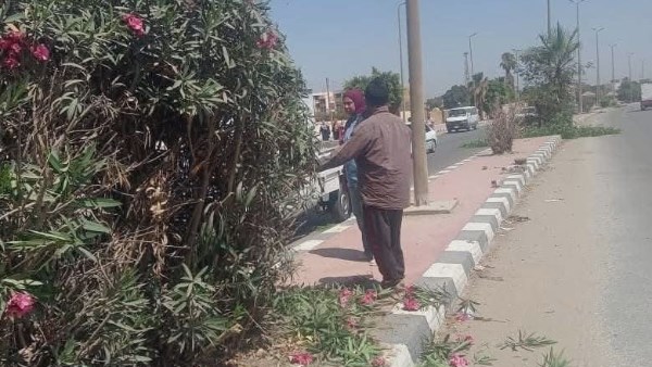 متابعة يومية لمنظومة النظافة والتجميل ورفع المخلفات للحفاظ ع