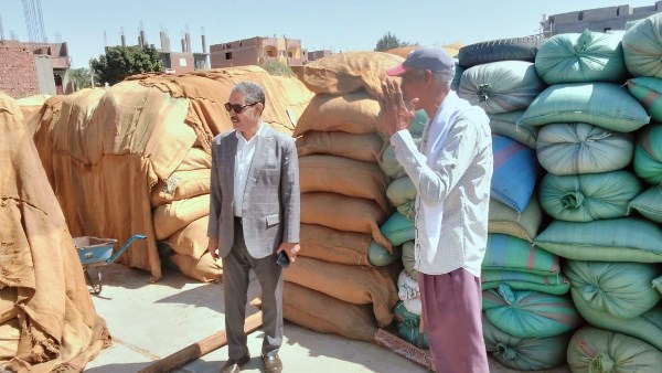 محافظ أسيوط: توريد 237 ألفًا و344 طنًا من القمح منذ انطلاق ا