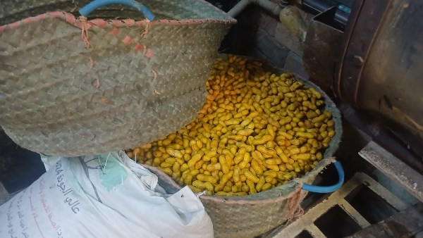 ضبط مواد محظور استخدامها في تلوين الأغذية بالمخالفة للاشتراطات الصحية داخل إحدى محال بيع وتحميص اللب بأسيوط 