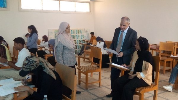 جامعة أسوان
