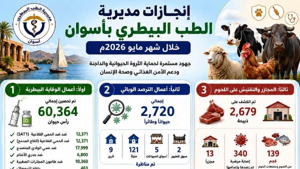 جهود محافظة أسوان
