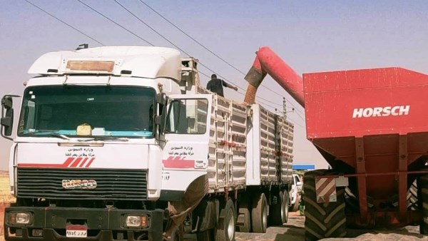 جهود محافظة أسوان