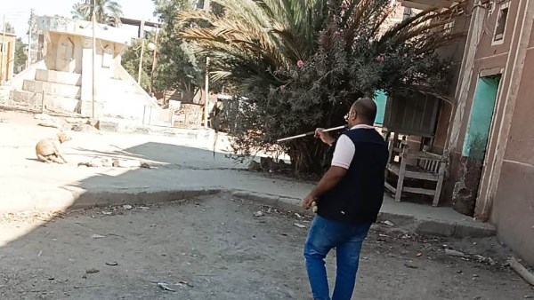 جهود محافظة أسوان