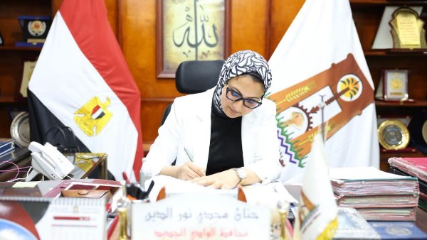 محافظ الوادي الجديد 