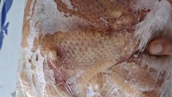 ضبط كميات من الأغذية واللحوم منتهية الصلاحية ببورس