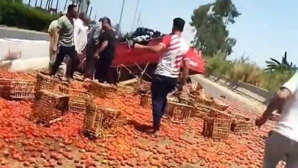 السرعة الزائدة.. تعطل حركة الطريق الزراعي"طنطا -كفر الزيات "