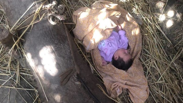 طفلة رضيعة بالغربية 