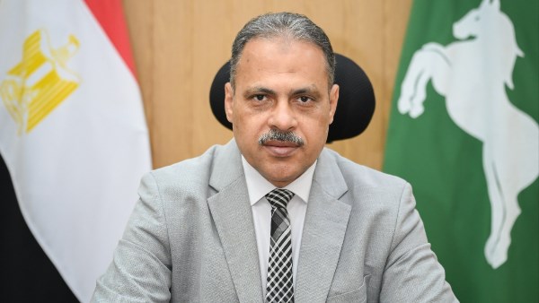 محافظ الشرقية